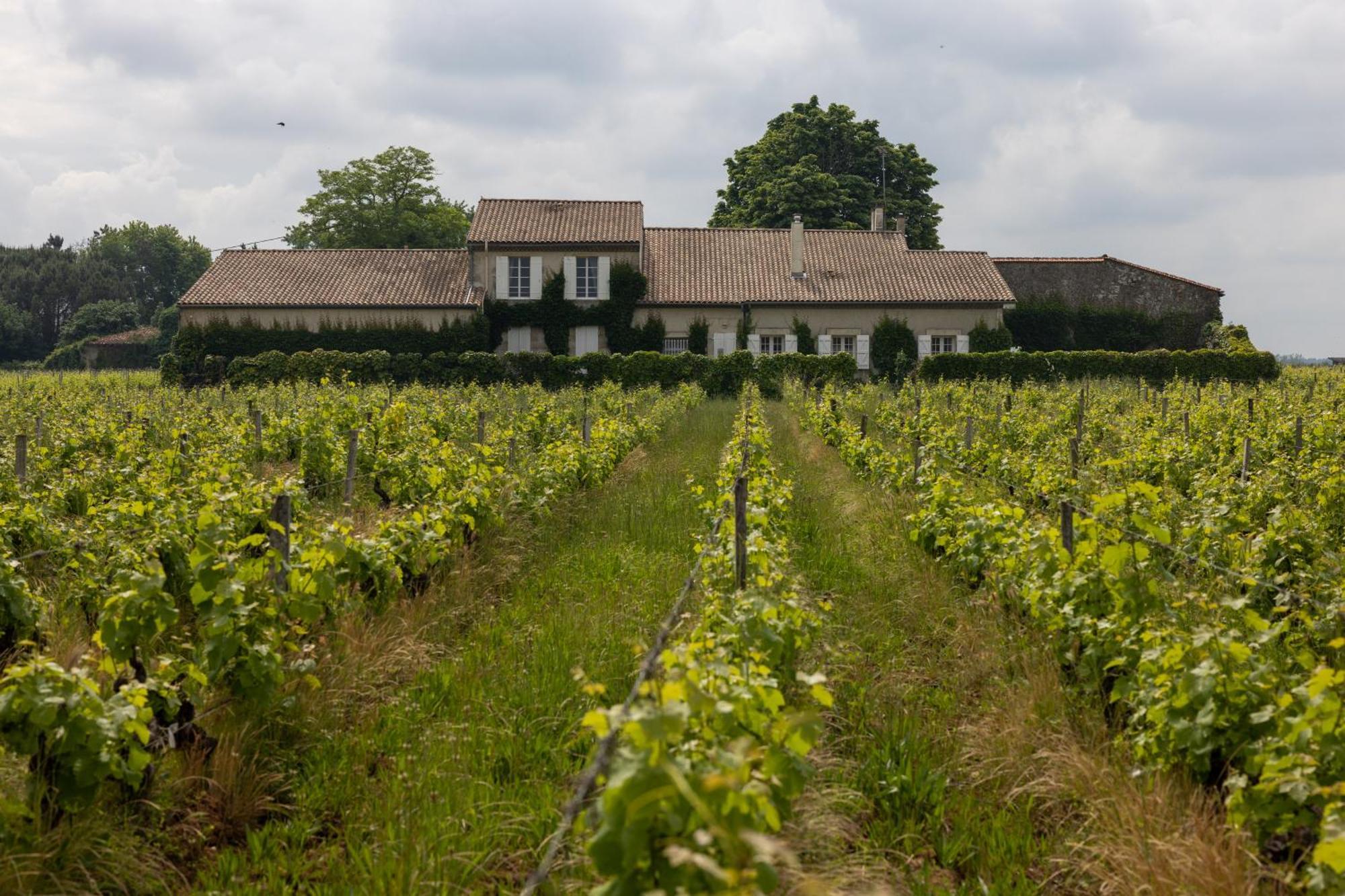 Bed and Breakfast Le Jardin Dans Les Vignes Barsac  Exterior foto
